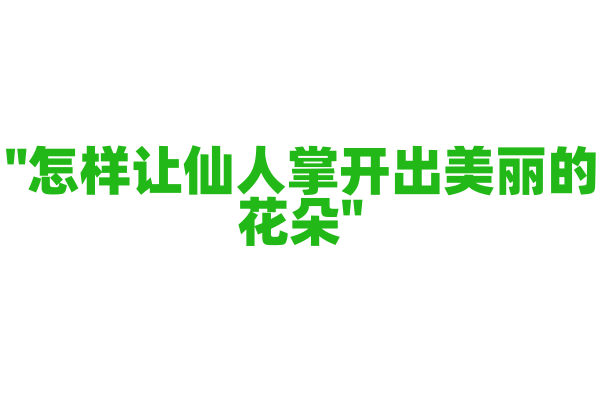 "怎样让仙人掌开出美丽的花朵"